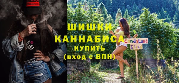 хмурый Липки