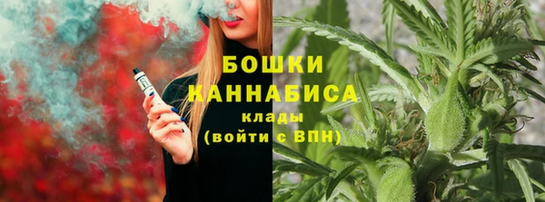 мдпв Лиски